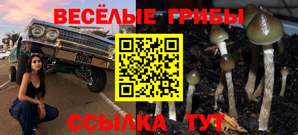 Белогорск  Псилоцибиновые грибы Psilocybine cubensis  Вход с VPN  Псилоцибиновые грибы MAGIC MUSHROOMS 