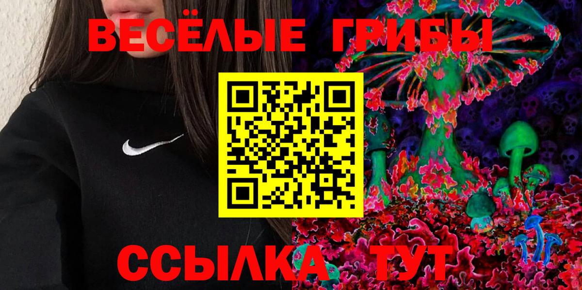 Псилоцибиновые грибы Cubensis Белогорск